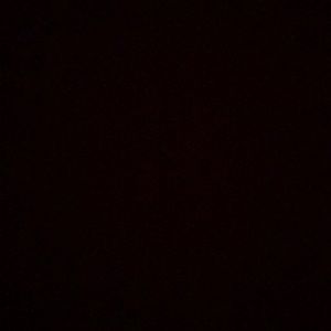 Meet your Posher, Bella